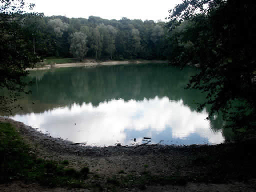 More reflections in the lake - Forest of Carnelle